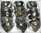 Lot:  Goniatite Fossil Heart Dishes - Pieces #77757-1